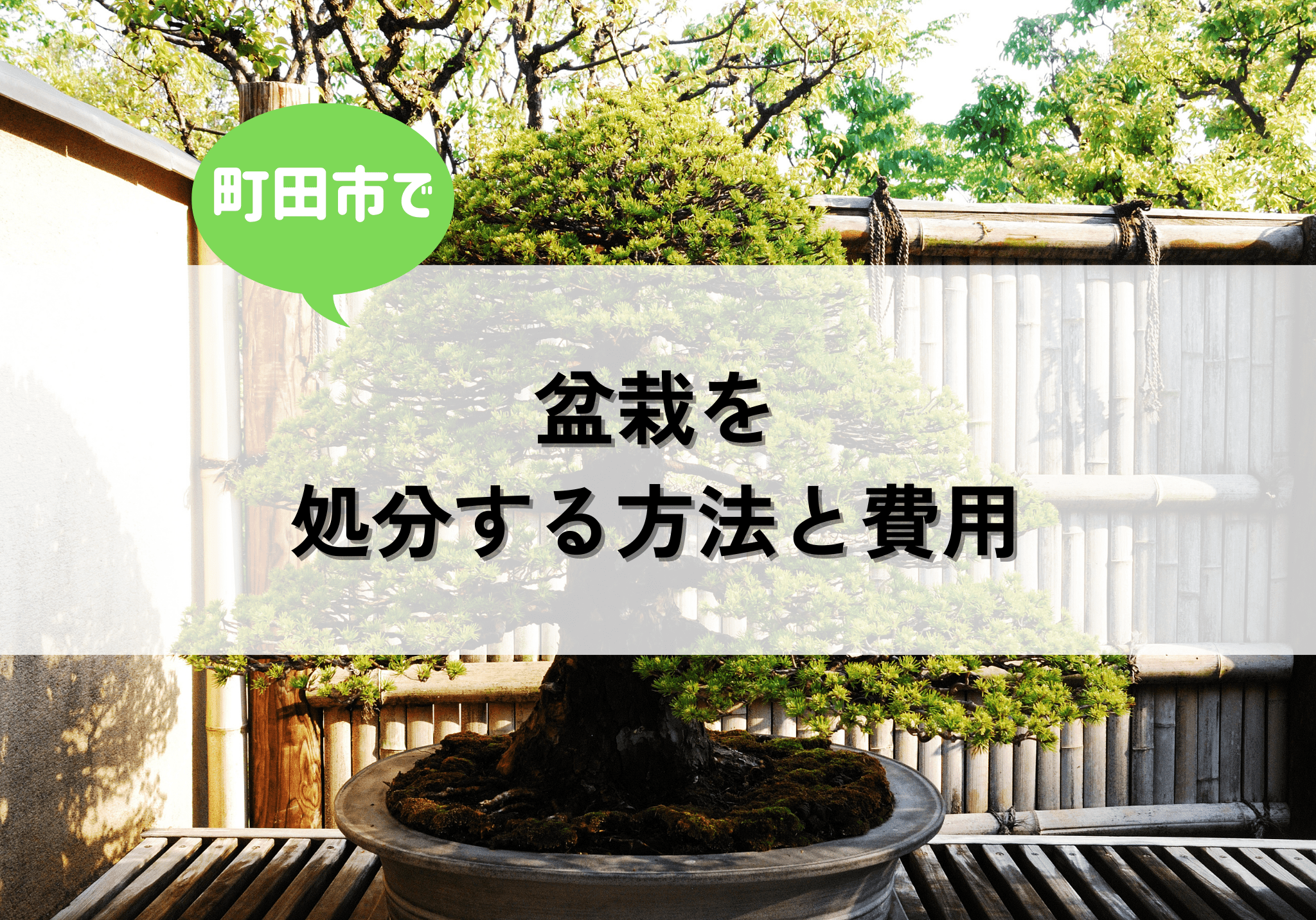町田市で盆栽を処分する方法と費用