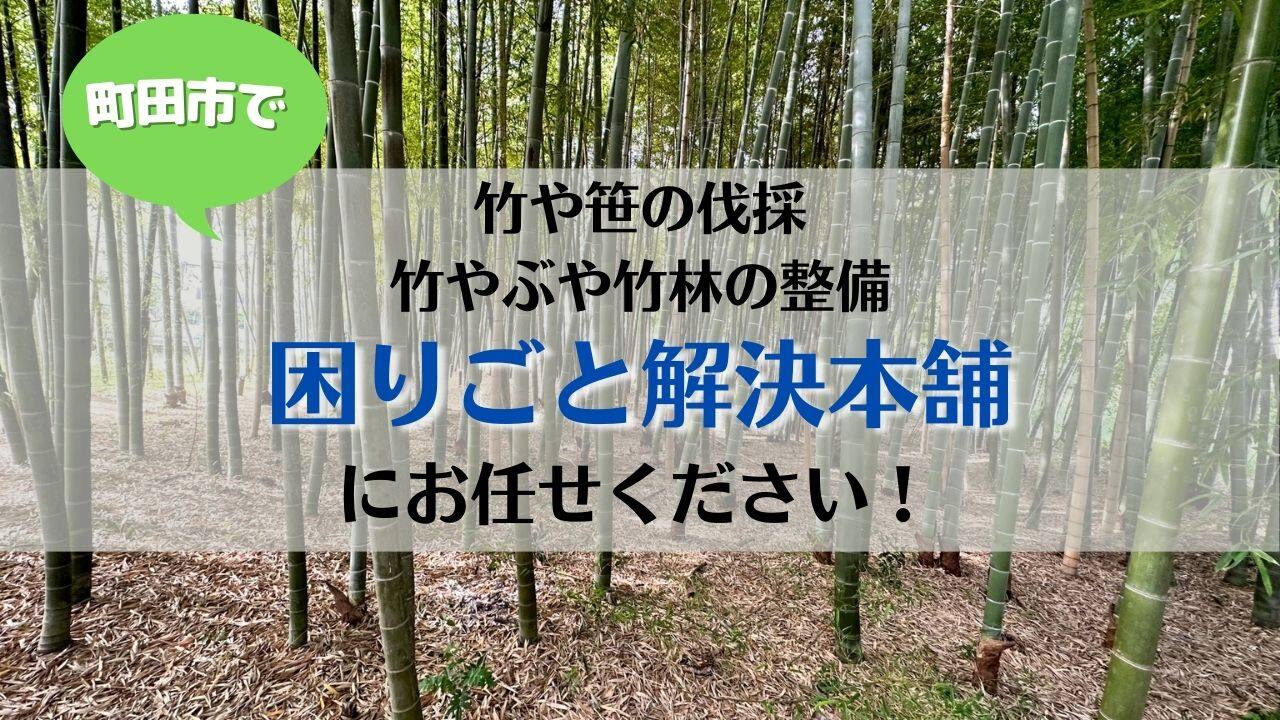 竹やぶ整備の検索結果 | 町田市の便利屋さん｜ 困りごと解決本舗