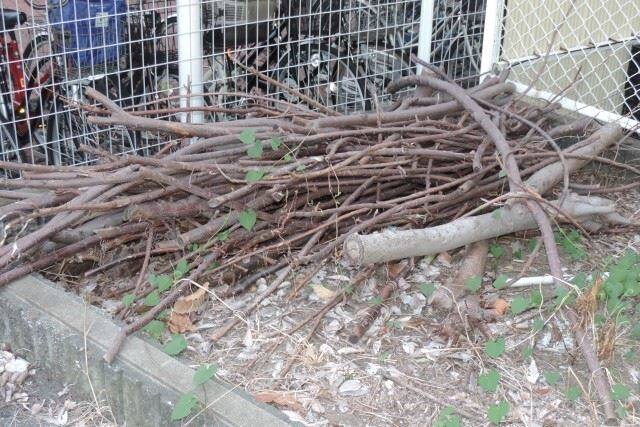 町田市で処分したい伐採した木や枝