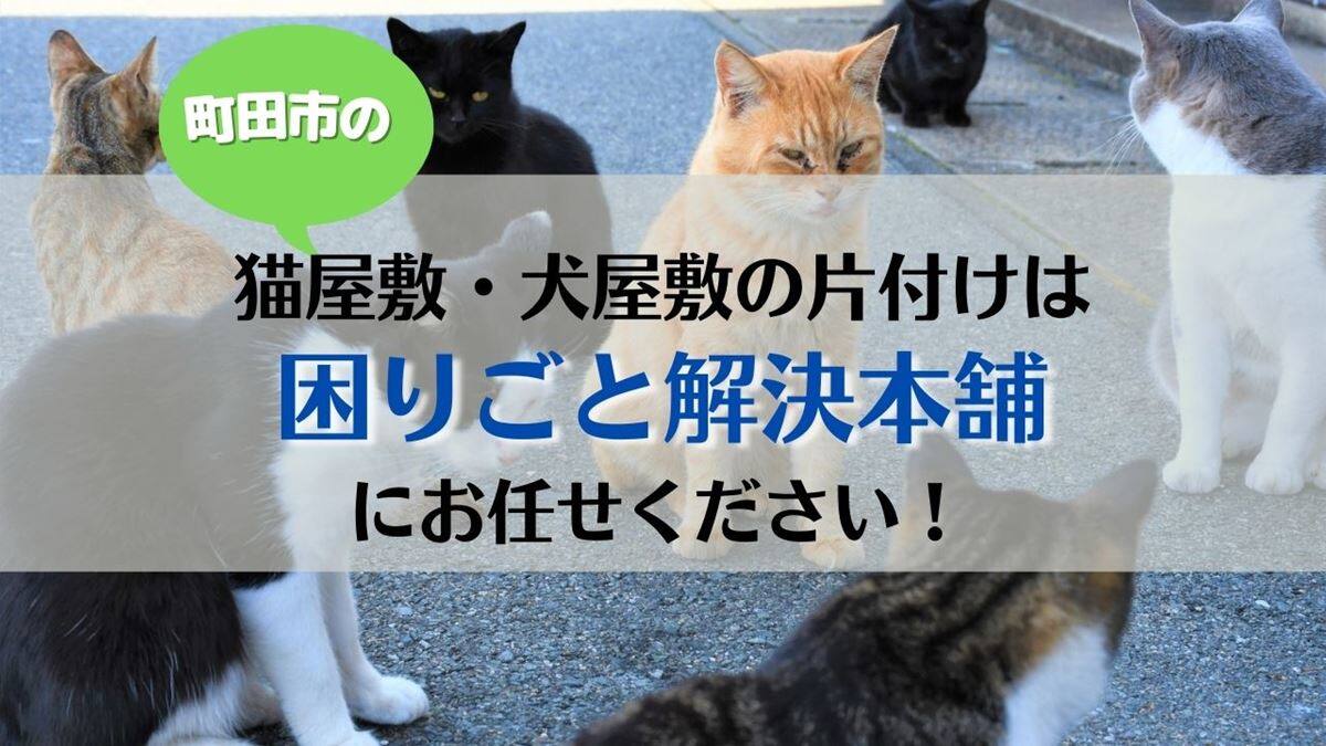 町田市で猫屋敷・犬屋敷の片付けは困りごと解決本舗にお任せ