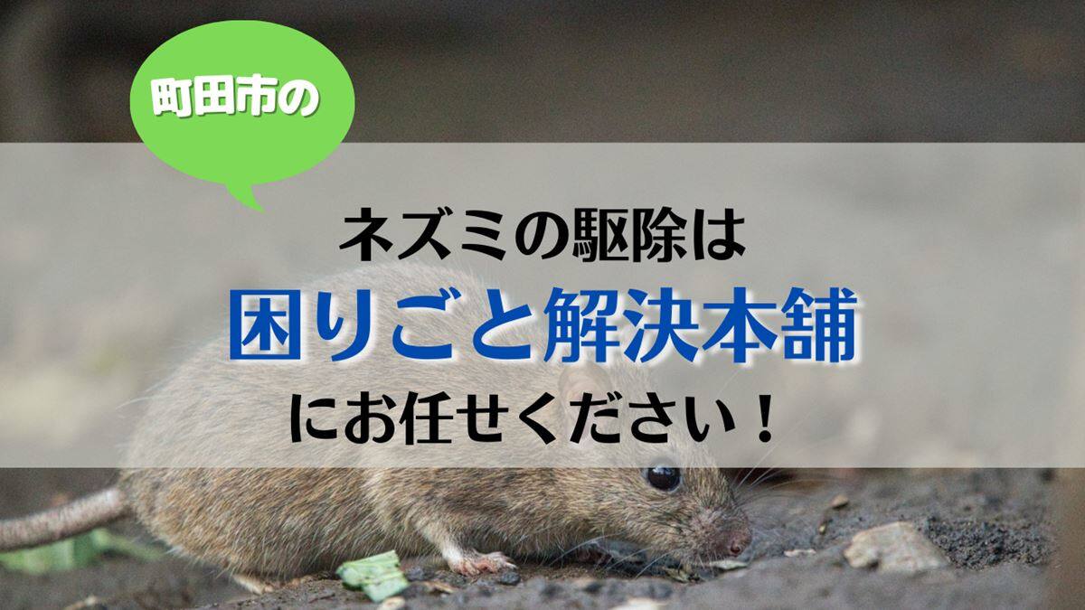 町田市でネズミの駆除は困りごと解決本舗へ
